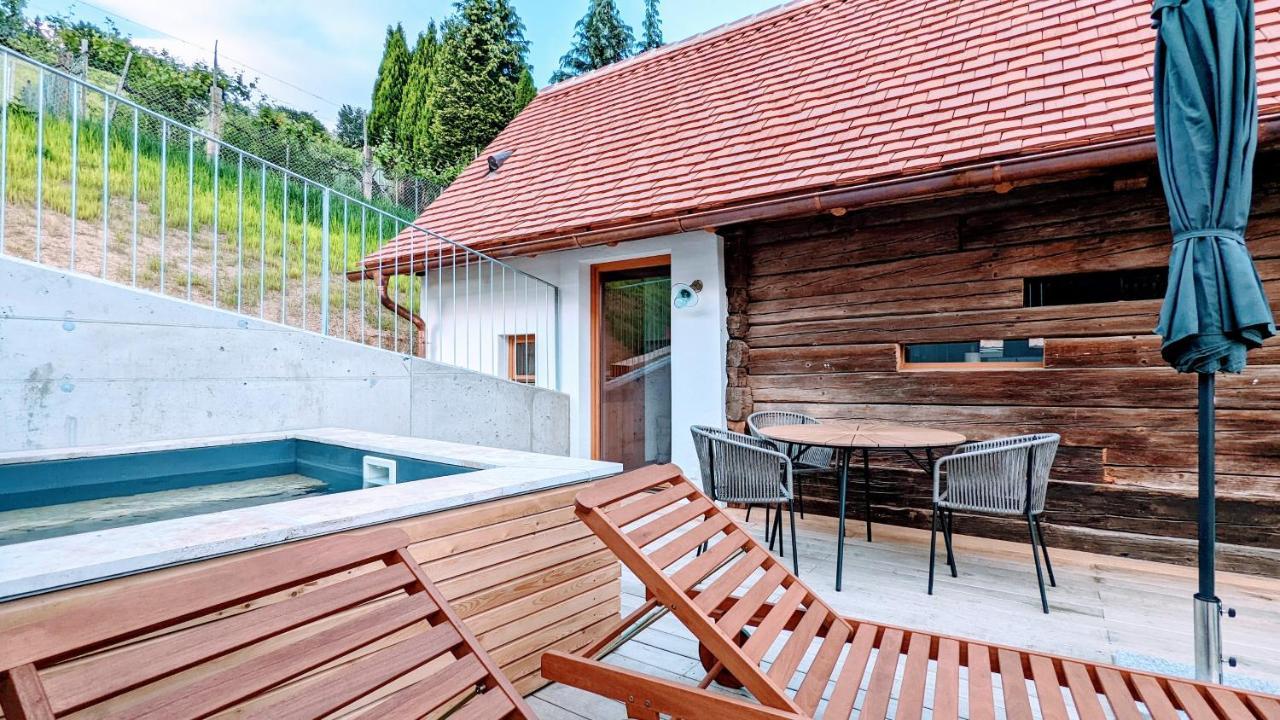 Diekellerstoeckl - Das Rosenstoeckl S22 Mit Mini-Pool 施泰因茨 外观 照片